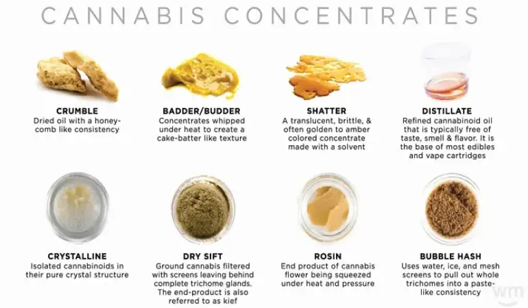 Extracts 101: Exploring Cannabis Extracts: Types, Uses, and Benefits